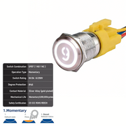 White SPDT Momentary Number 9