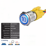 Blue SPDT Latching Number 10