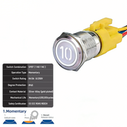 White SPDT Momentary Number 10