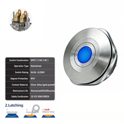 Blue DPDT Latching