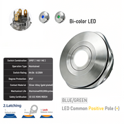 BG common anode Latching