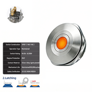 Orange SPDT Latching