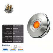 Orange DPDT Latching