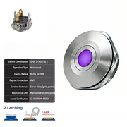 Purple SPDT Latching