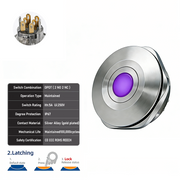Purple DPDT Latching