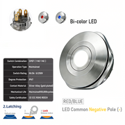 RB common cathode Latching