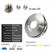 RG common anode Latching