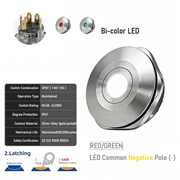 RG common cathode Latching