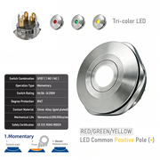 RGY common anode Momentary