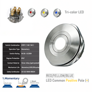 RYB common anode Momentary