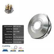 White DPDT Latching