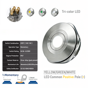 YGW common anode Momentary