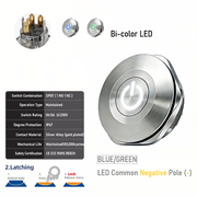 BG common cathode Latching