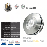 RG common anode Latching