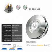RG common anode Momentary