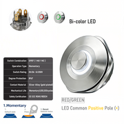 RG common anode Momentary