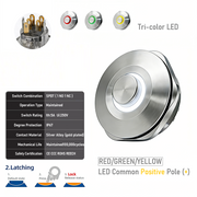RGY common anode Latching