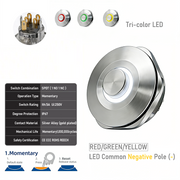 RGY common cathode Momentary