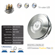 RYB common anode Momentary