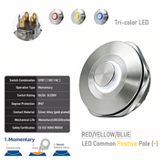 RYB common anode Momentary