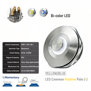 YB common anode Momentary