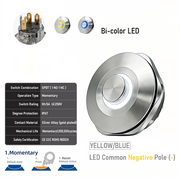 YB common cathode Momentary