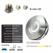 YG common anode Latching