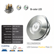 YG common anode Latching