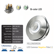 YG common cathode Momentary