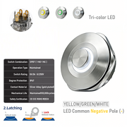 YGW common cathode Latching