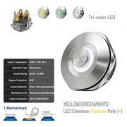 YGW common anode Momentary
