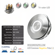 RGY common cathode Latching