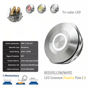 RYW common anode Momentary