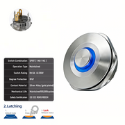 Blue SPDT Latching