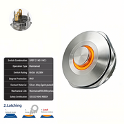 Orange SPDT Latching