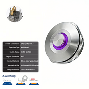 Purple SPDT Latching