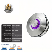 Purple DPDT Latching