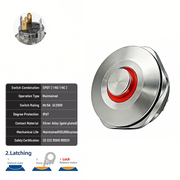 Red SPDT Latching