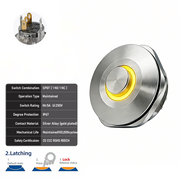 Yellow SPDT Latching