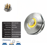 Yellow DPDT Momentary