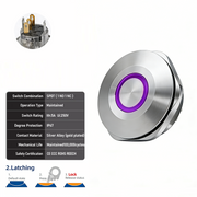 Purple SPDT Latching