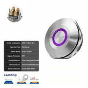 Purple DPDT Latching