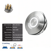 White DPDT Latching