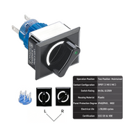 White 2-Position DPDT Maintained