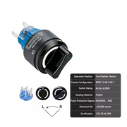 White 2-Position DPDT Momentary