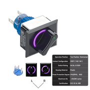 Purple 2-Position SPDT Maintained