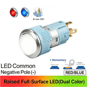 RB Momentary common cathode (-)