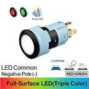 RG Maintained common cathode (-)