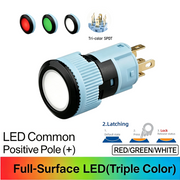 RGW Maintained common anode (+)