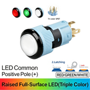 RGW Maintained common anode (+)